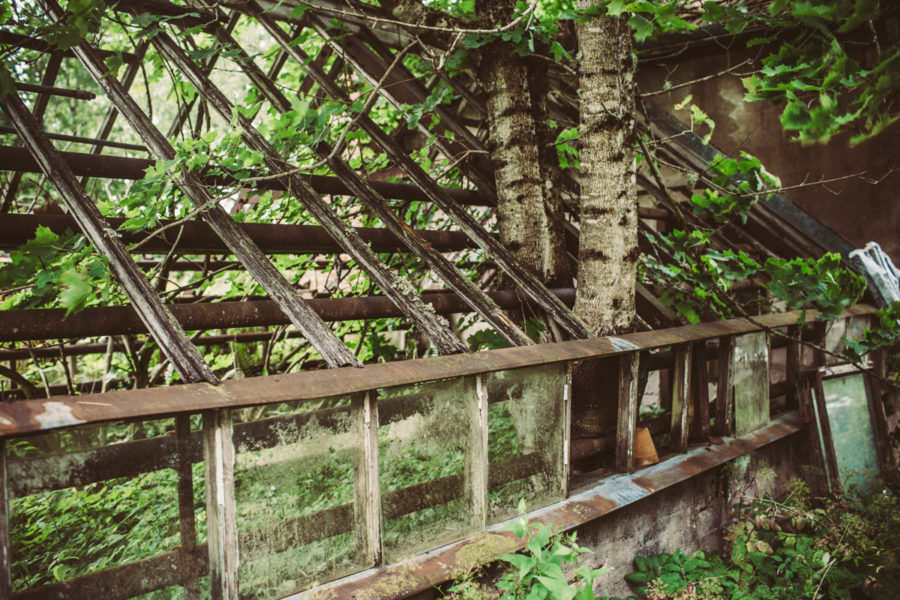 villastromsfors2_Kristin__Lagerqvist-3672