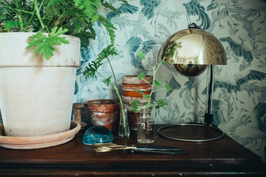 geranium_kristin_Lagerqvist-2